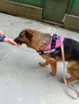 IMG-20250611-WA0009.jpg